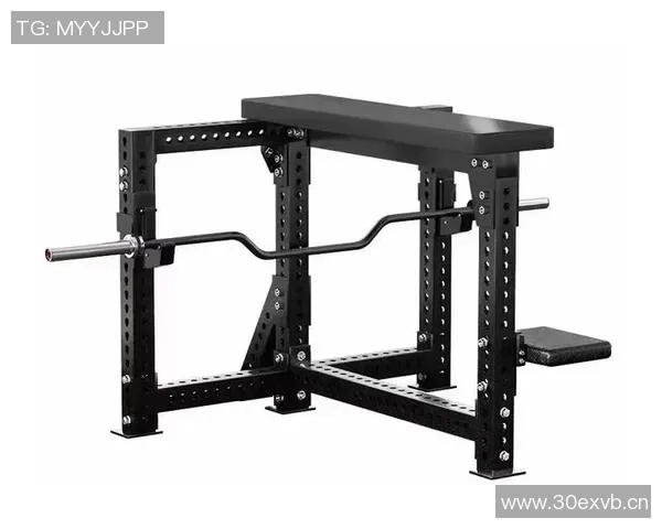 海豹健身器材：海豹品牌健身器材的创新设计与用户评价