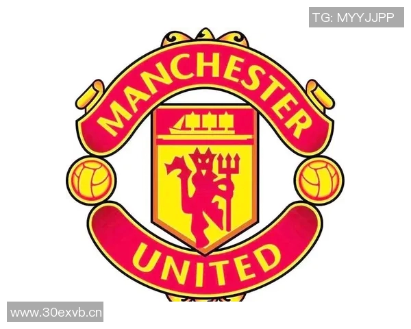 英超球队队徽的立体设计与视觉效果 英超球队队徽的立体设计与视觉效果